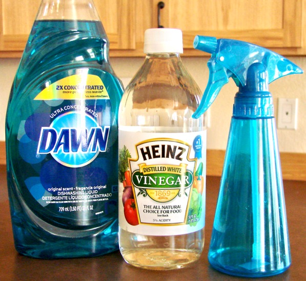 Vinegar Dish Soap Spray