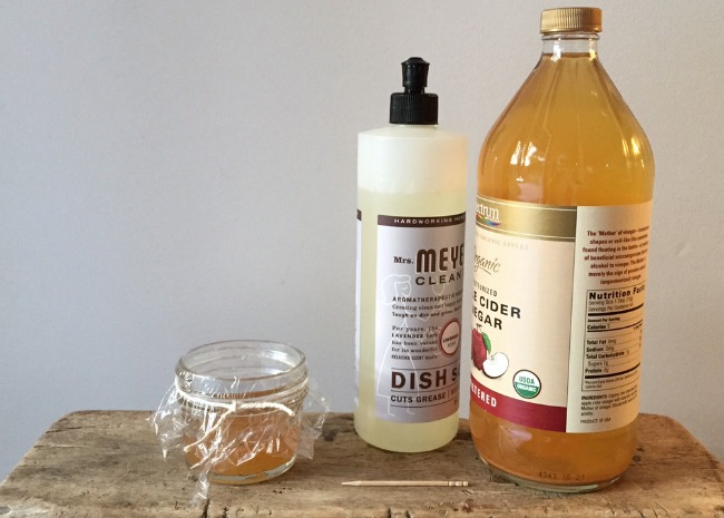 Apple Cider Vinegar Trap