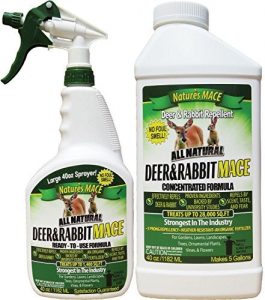 Best Rabbit Repellent Spray