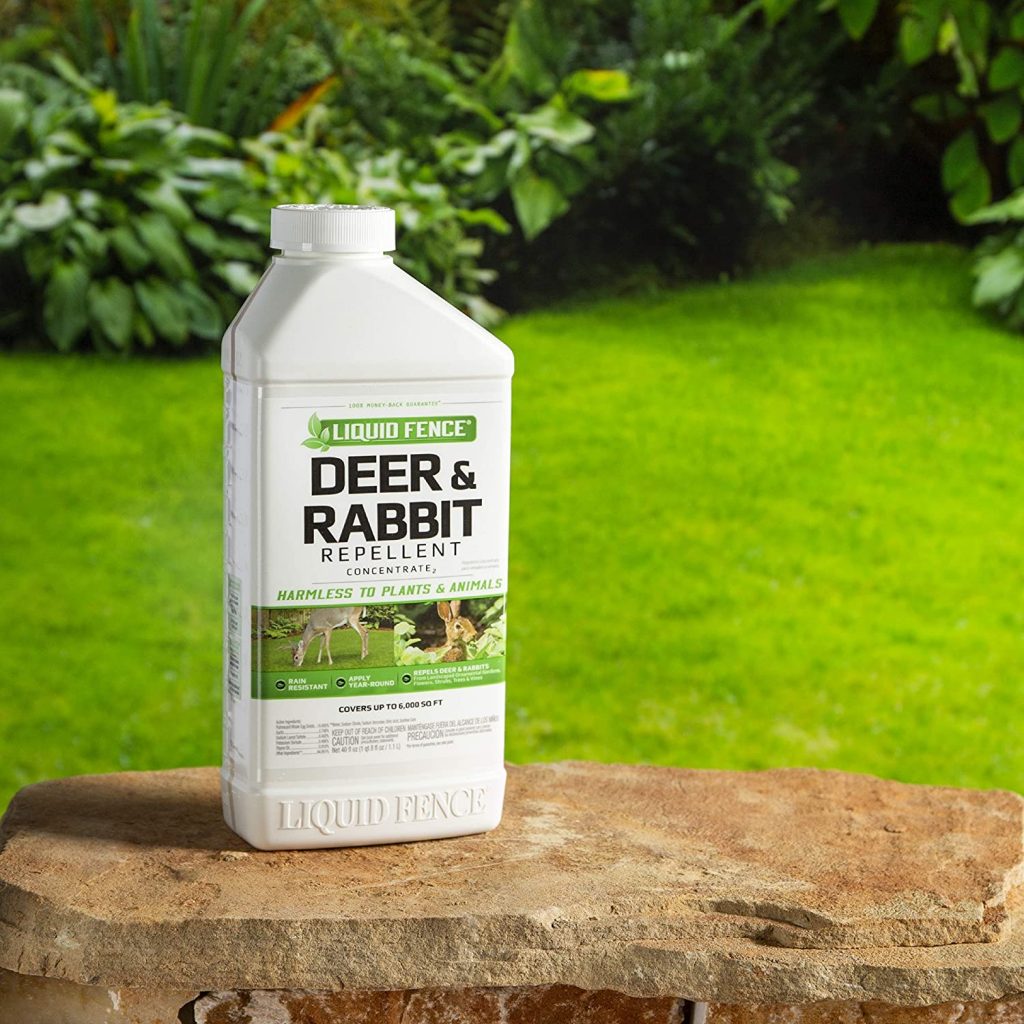 deer and rabbit repellent