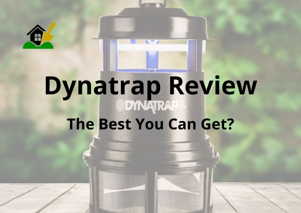 Dynatrap Reviews