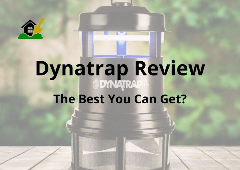 Dynatrap Review