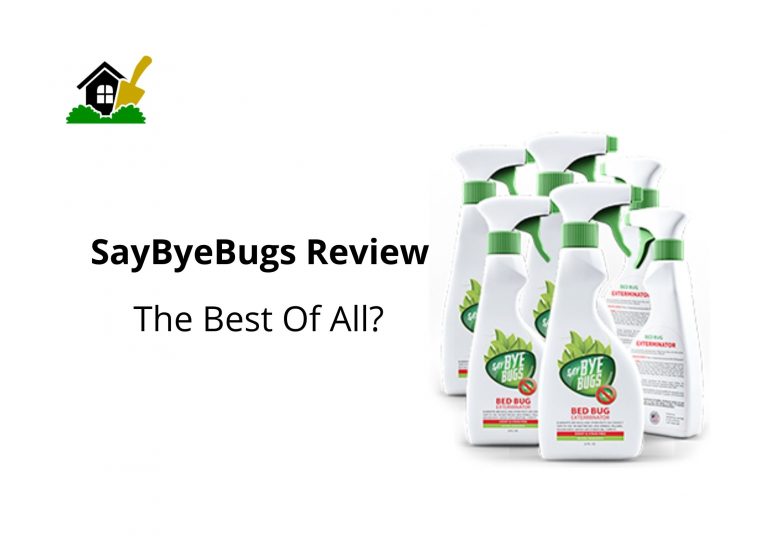 Saybyebugs Review