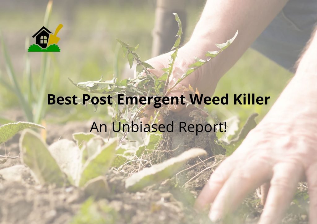 Best Post-Emergent Weed Killer
