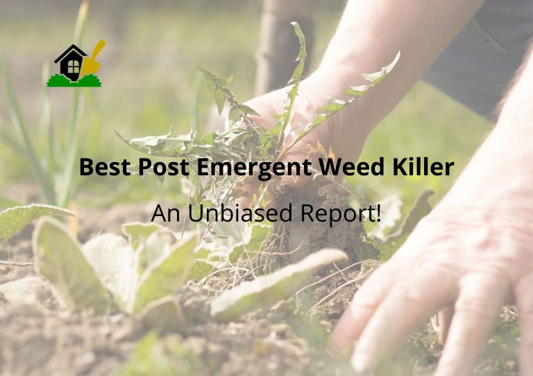 Best Post-Emergent Weed Killer