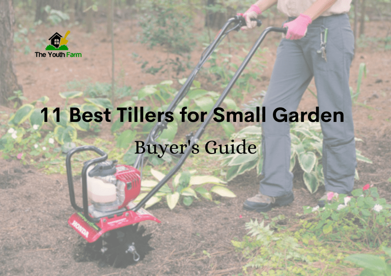 Best Tillers for Small Garden