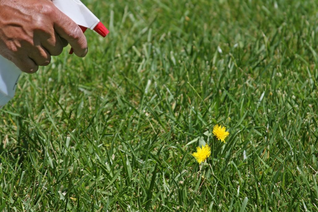 How To Get Rid Of Crabgrass Without Killing Grass