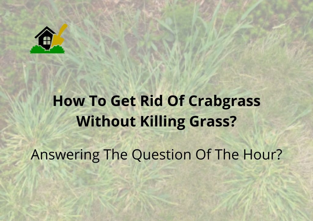 How To Get Rid Of Crabgrass Without Killing Grass
