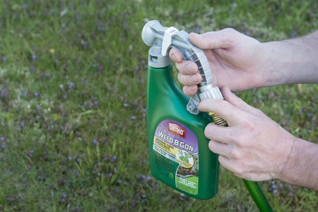 Ortho Nutsedge Killer for Lawns Ready-To-Spray