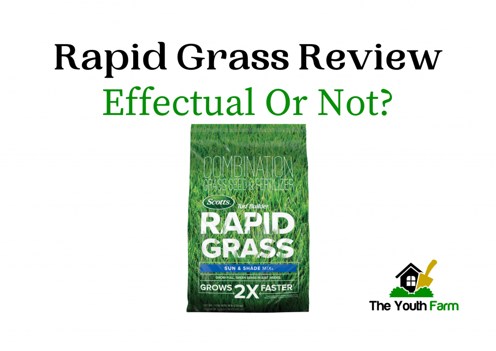 Rapid Grass Reviews
