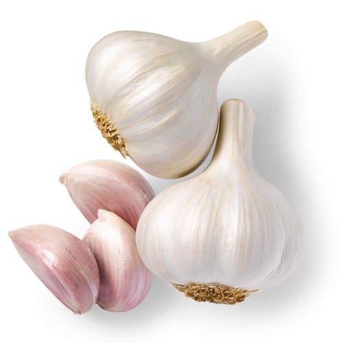 Garlic Smell