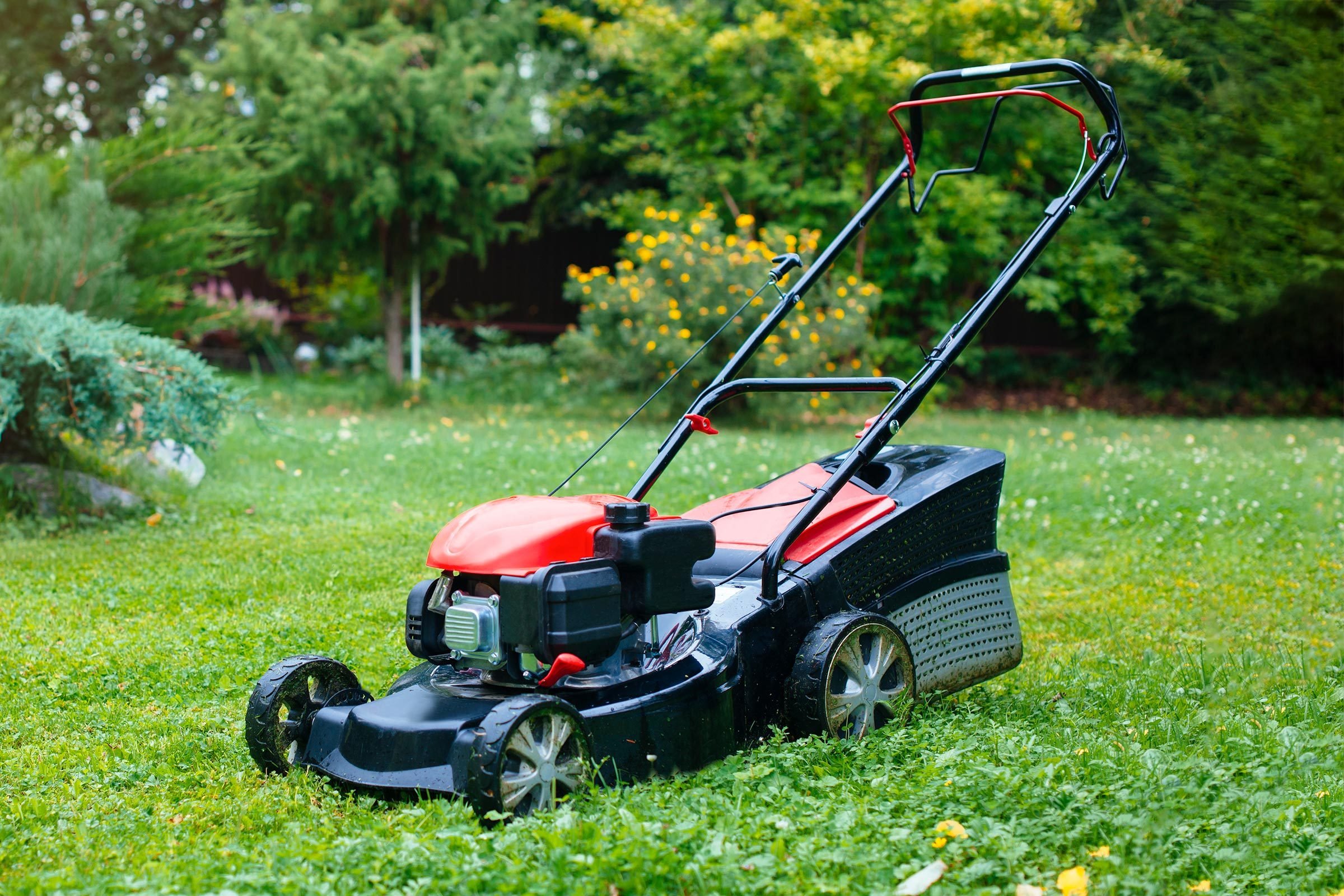 lawnmower - can you use car oil in a lawnmower?