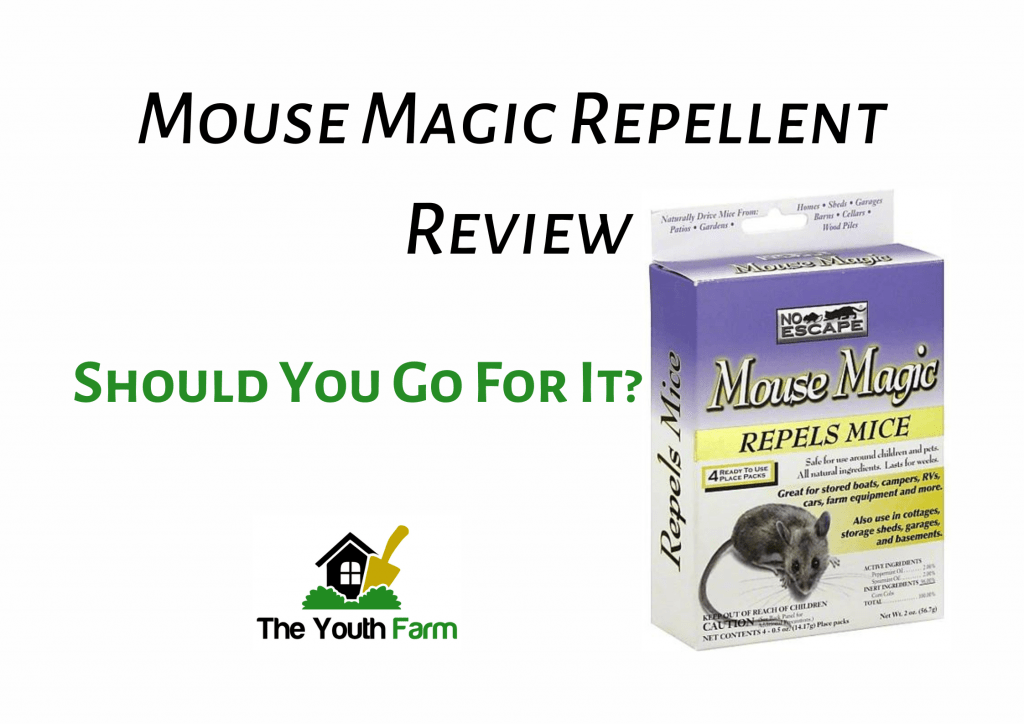 Mouse Magic Repellent Reviews