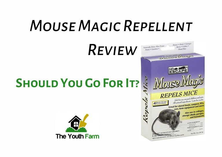Mouse Magic Repellent Reviews