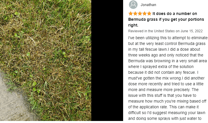 best weed killer for Bermuda grass