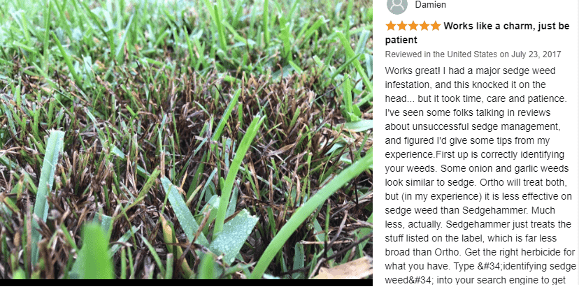 best weed killer for Bermuda grass