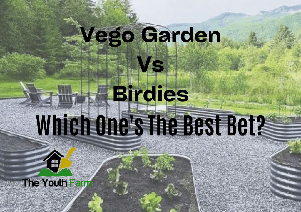 Vego Garden Vs Birdies