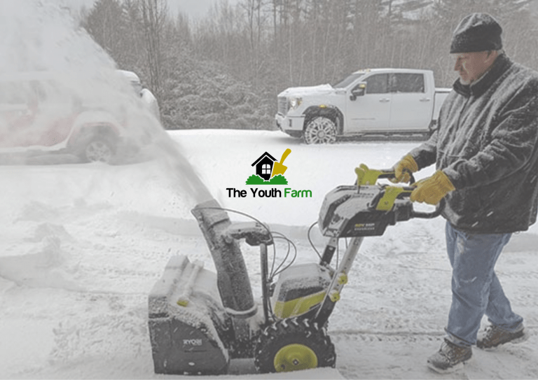 Ryobi Snow Blower Review