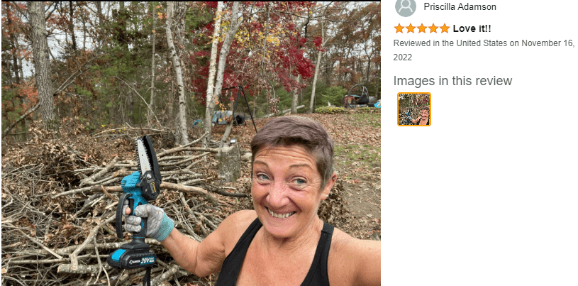 review of Mini Chainsaw