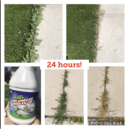  maintain a weed-free lawn and garden