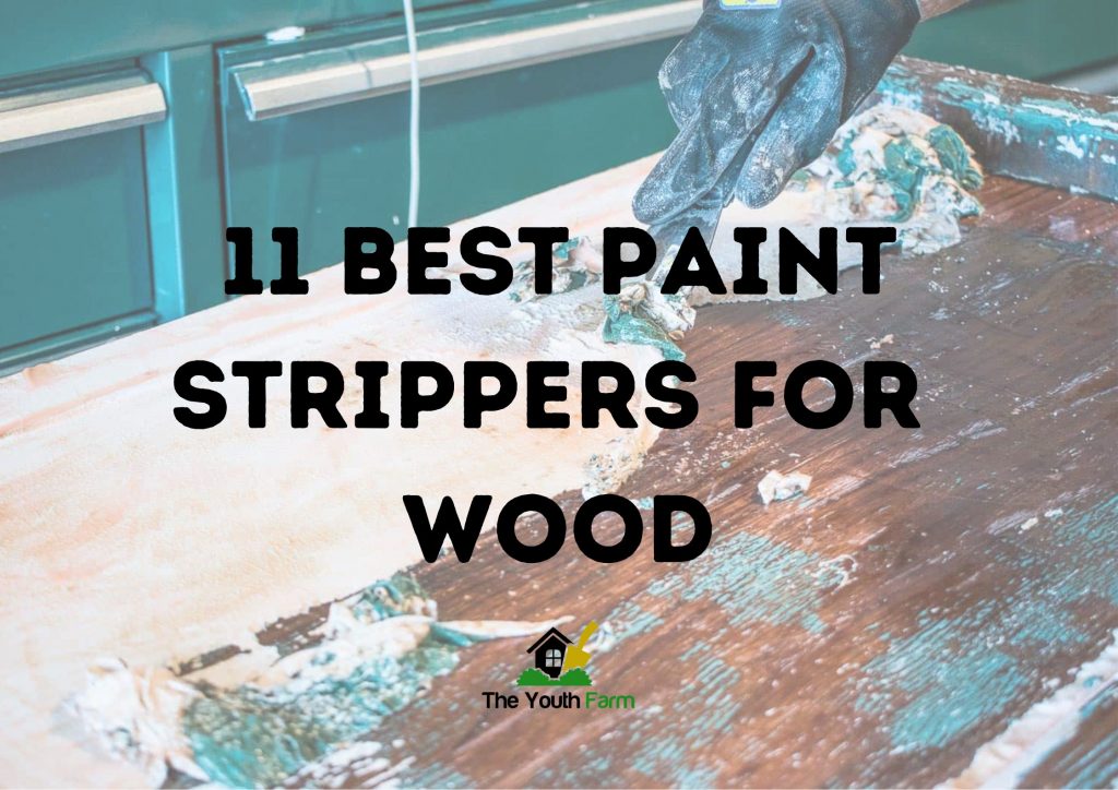 Best Paint Stripper For Wood